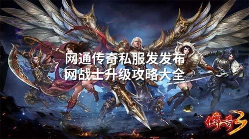 网通传奇私服发发布网战士升级攻略大全